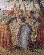 Camille Pissarro Woman under the bean frame oil painting reproduction
